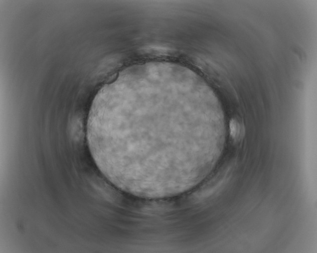 X0000113251203200910081312