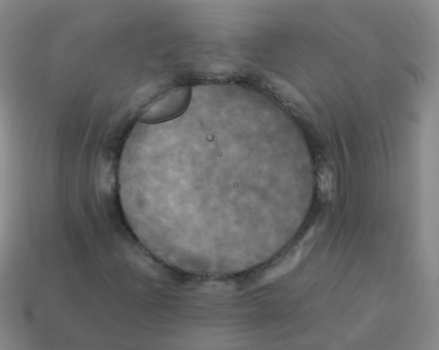 X0000113251204200910081312