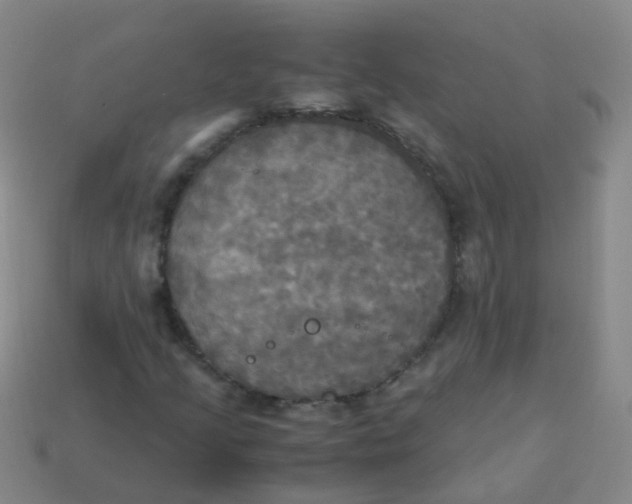 X0000113251205200910081312