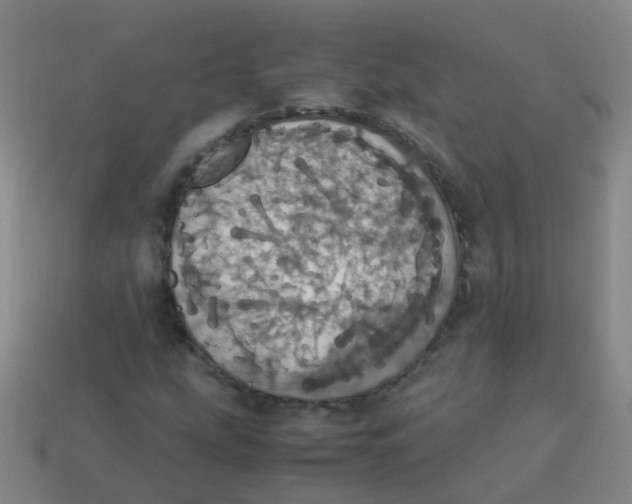 X0000113251207200910081312