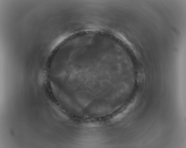 X0000113251208200910081312