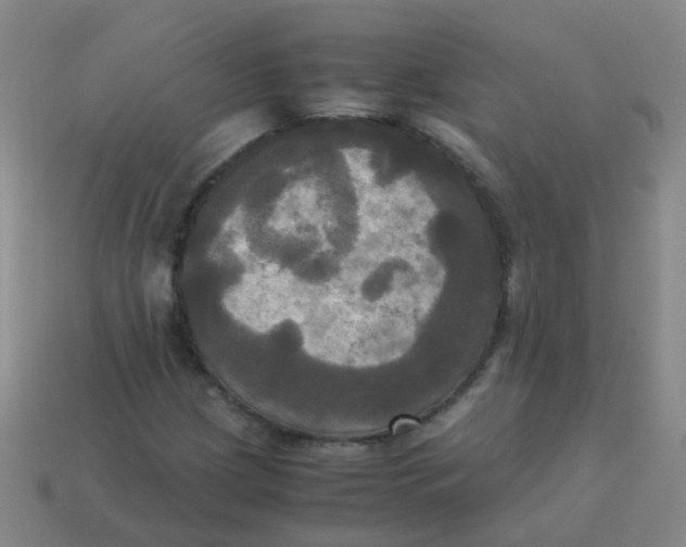 X0000113251209200910081312