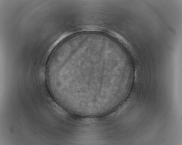 X0000113251212200910081312