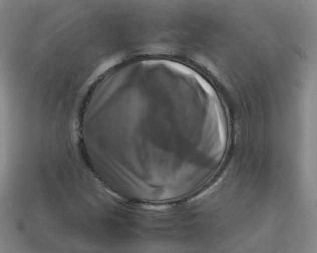 X0000113251213200910081312