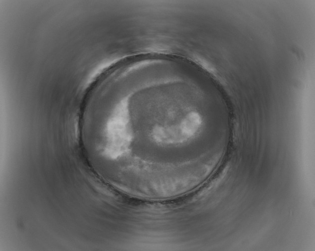 X0000113251214200910081312