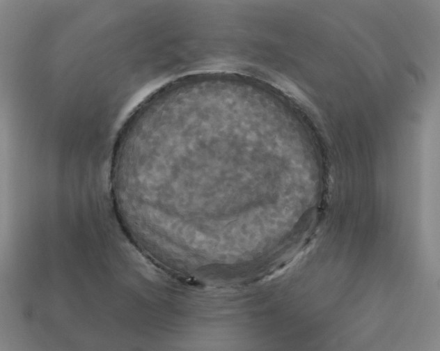 X0000113251216200910081312