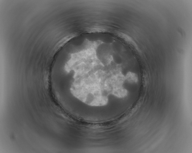 X0000113251217200910081312