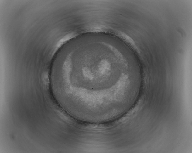 X0000113251218200910081312