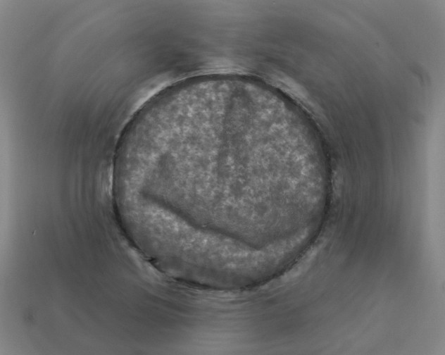 X0000113251220200910081312