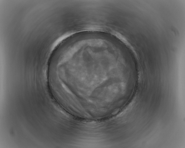 X0000113251222200910081312