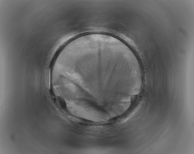 X0000113251223200910081312