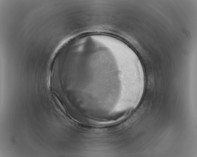 X0000113251224200910081312