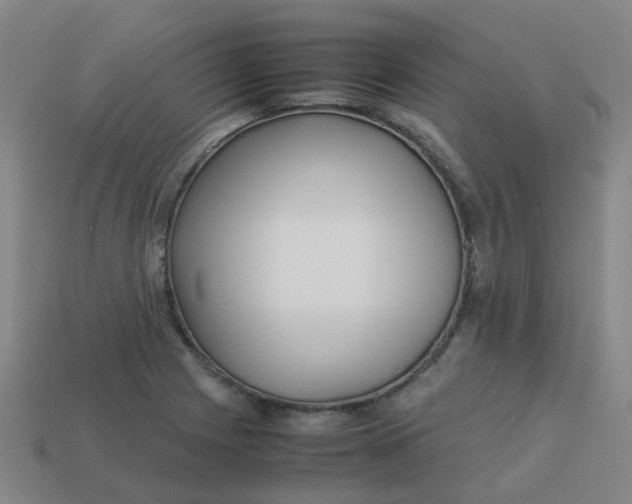 X0000113251225200910081312