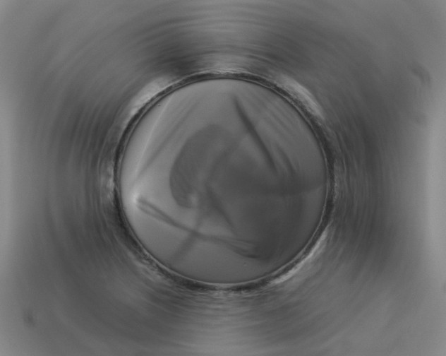 X0000113251226200910081312