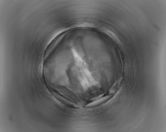 X0000113251228200910081312