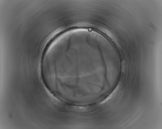 X0000113251229200910081312