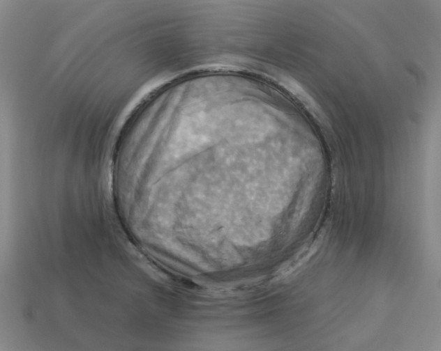 X0000113251232200910081312