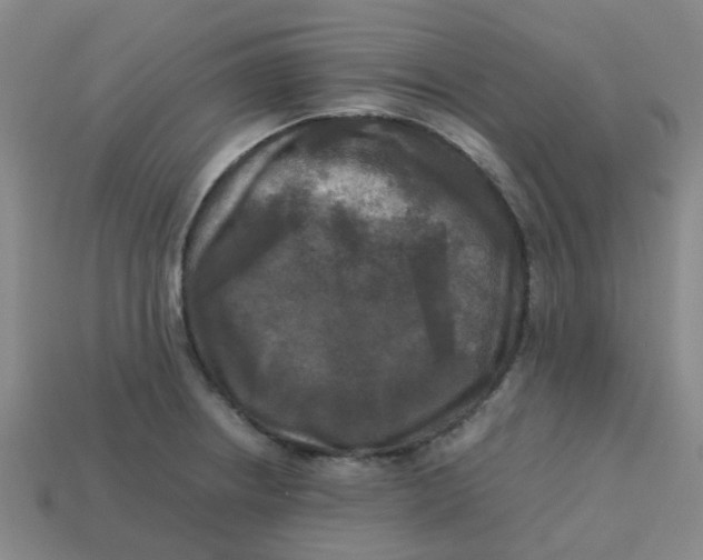 X0000113251234200910081312