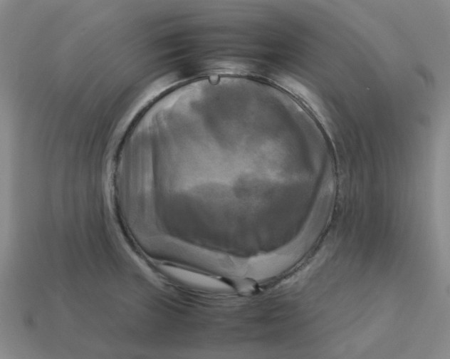 X0000113251235200910081312