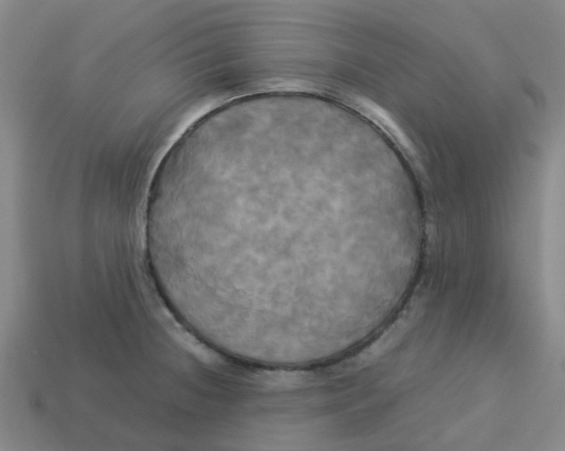 X0000113251236200910081312