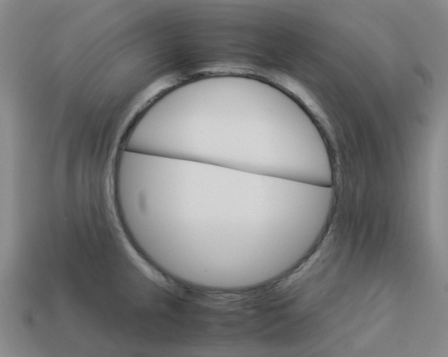 X0000113251237200910081312