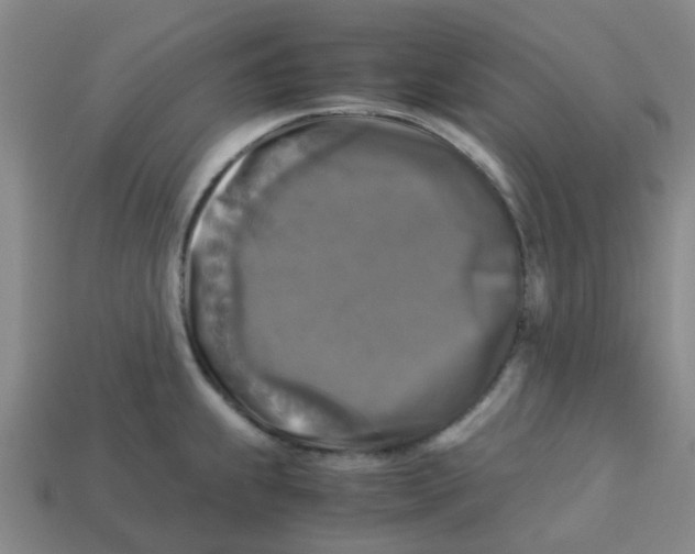 X0000113251239200910081312