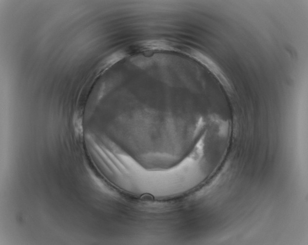 X0000113251241200910081312