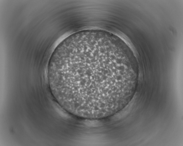 X0000113251242200910081312