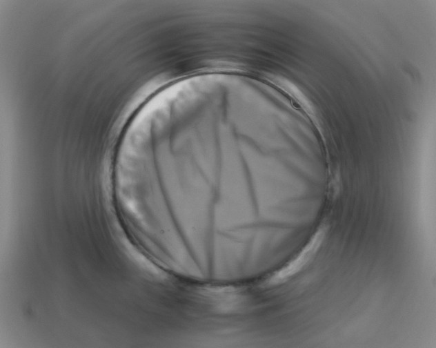 X0000113251243200910081312