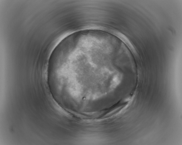 X0000113251244200910081312