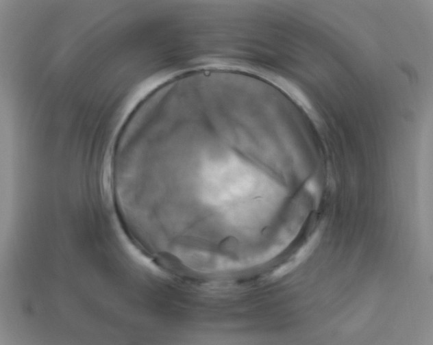 X0000113251247200910081312