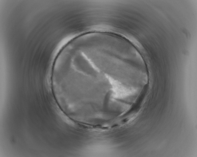 X0000113251248200910081312