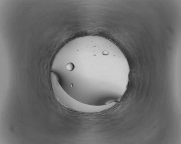 X0000113251249200910081312