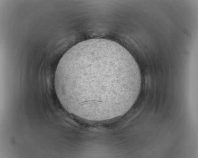 X0000113251250200910081312