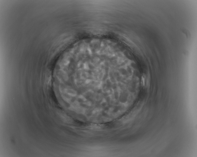 X0000113251251200910081312