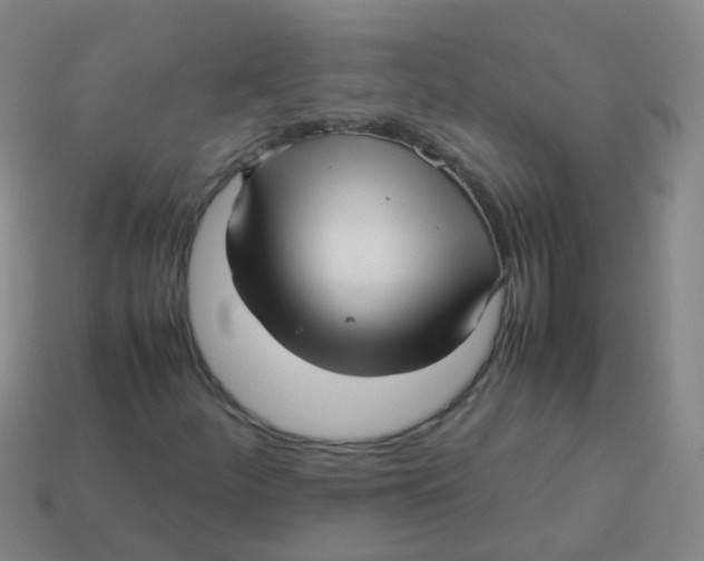 X0000113251252200910081312