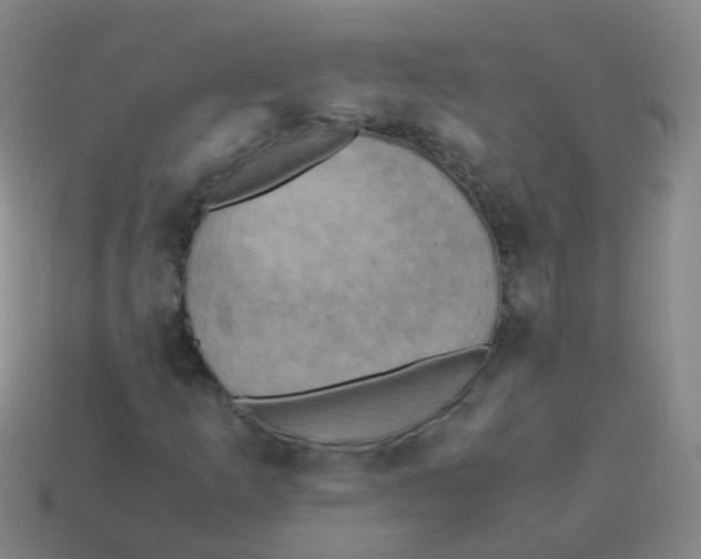 X0000113251253200910081312