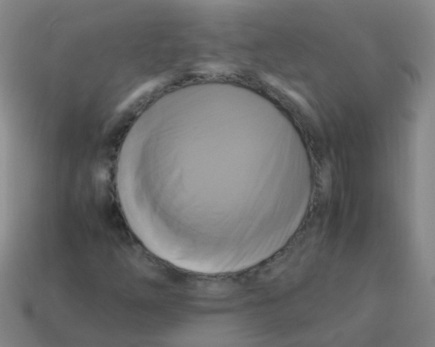 X0000113251254200910081312