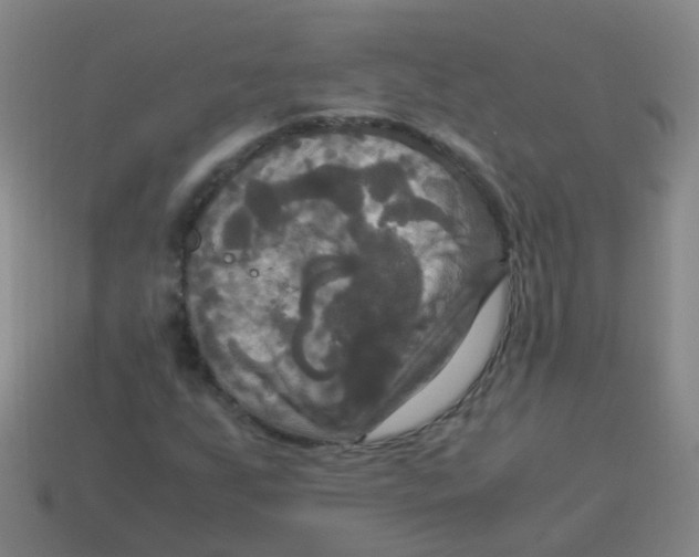 X0000113251255200910081312