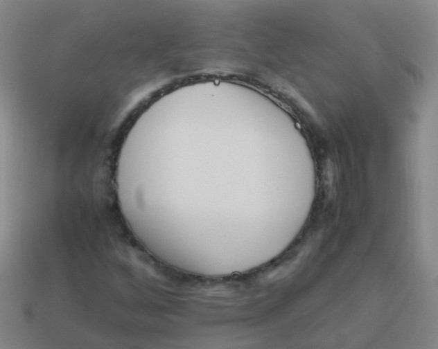 X0000113251256200910081311