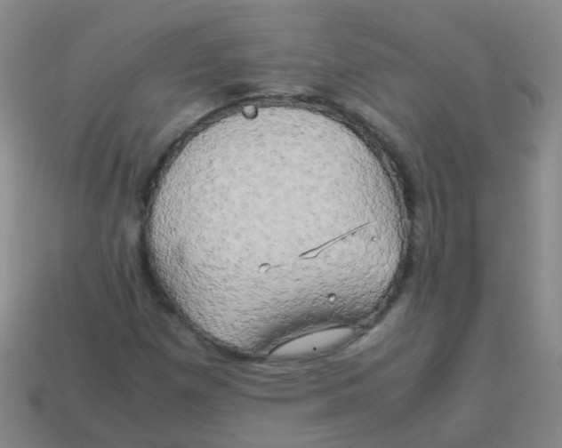 X0000113251257200910081311