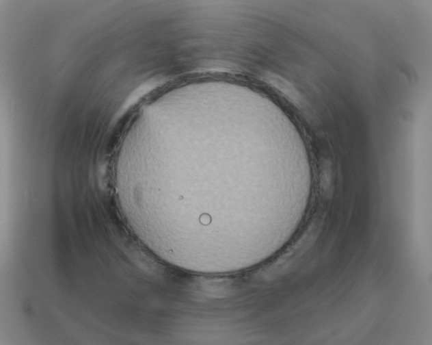 X0000113251258200910081311