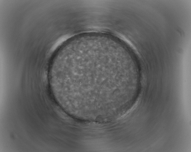 X0000113251259200910081311