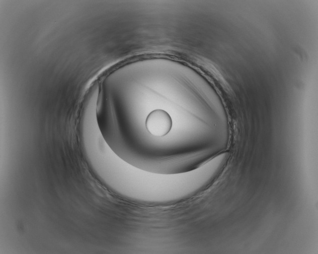 X0000113251260200910081311