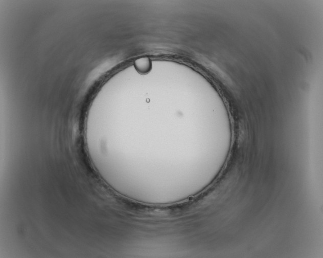 X0000113251261200910081311