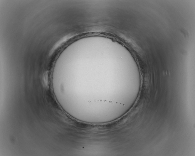 X0000113251262200910081311