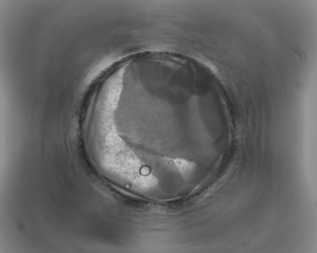 X0000113251263200910081311