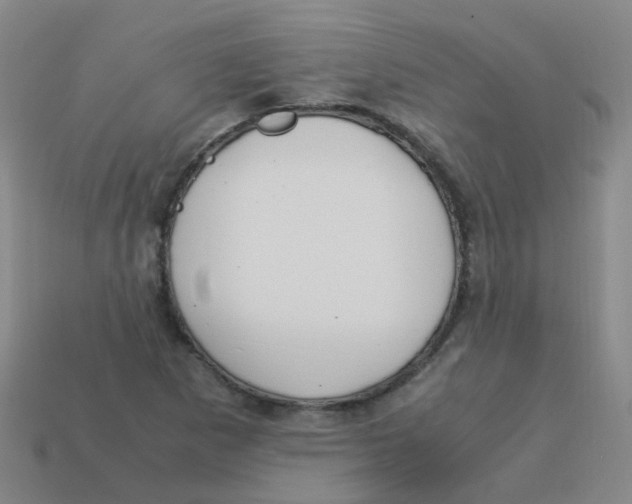 X0000113251265200910081311