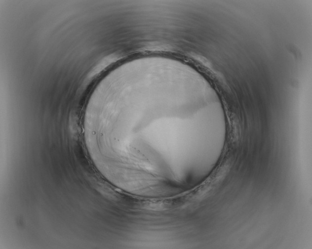 X0000113251266200910081311