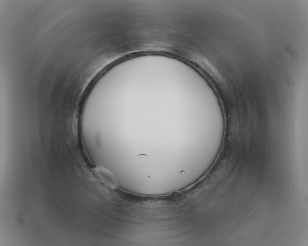 X0000113251268200910081311